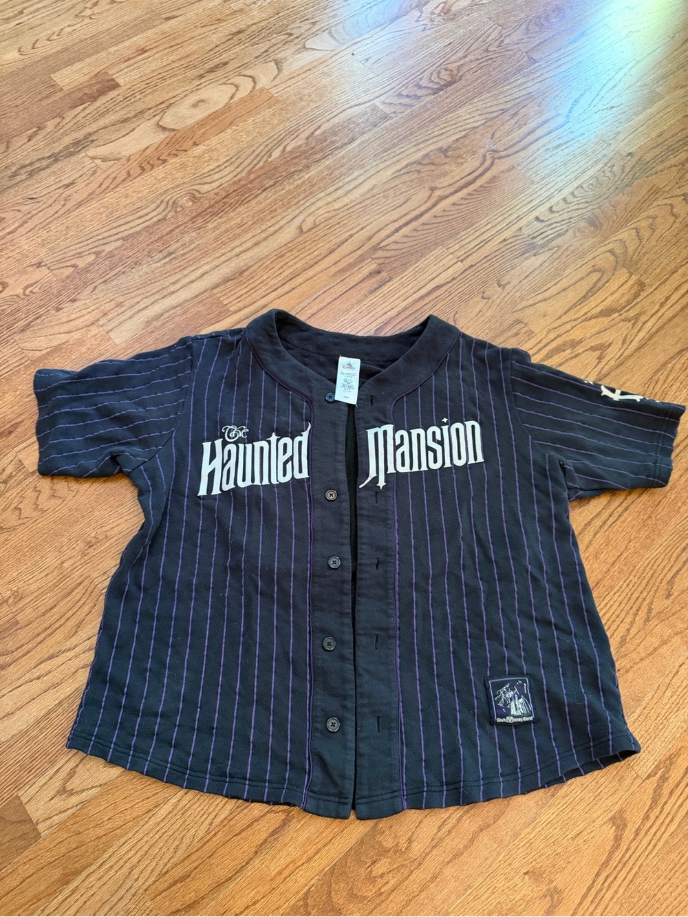 Disney park haunted mansion Jersey Halloween party unisex